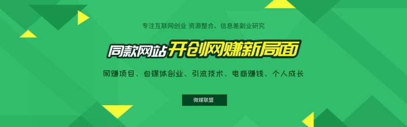 搭建同款资源网站，日入2000+网赚项目-副业赚钱-互联网创业-资源整合老姚项目