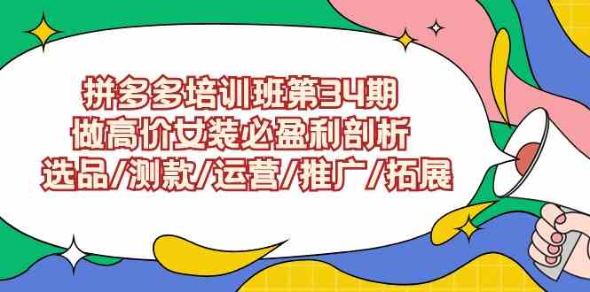（9333期）拼多多培训班第34期：做高价女装必盈利剖析  选品/测款/运营/推广/拓展网赚项目-副业赚钱-互联网创业-资源整合老姚项目