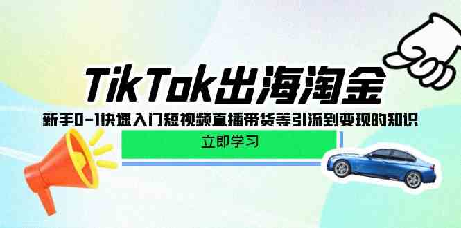 （10035期）TikTok-出海淘金，新手0-1快速入门短视频直播带货等引流到变现的知识网赚项目-副业赚钱-互联网创业-资源整合老姚项目