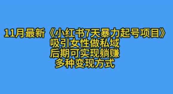 K总部落11月最新小红书7天暴力起号项目，吸引女性做私域【揭秘】网赚项目-副业赚钱-互联网创业-资源整合老姚项目